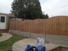 Closeboard fencing and landscaping