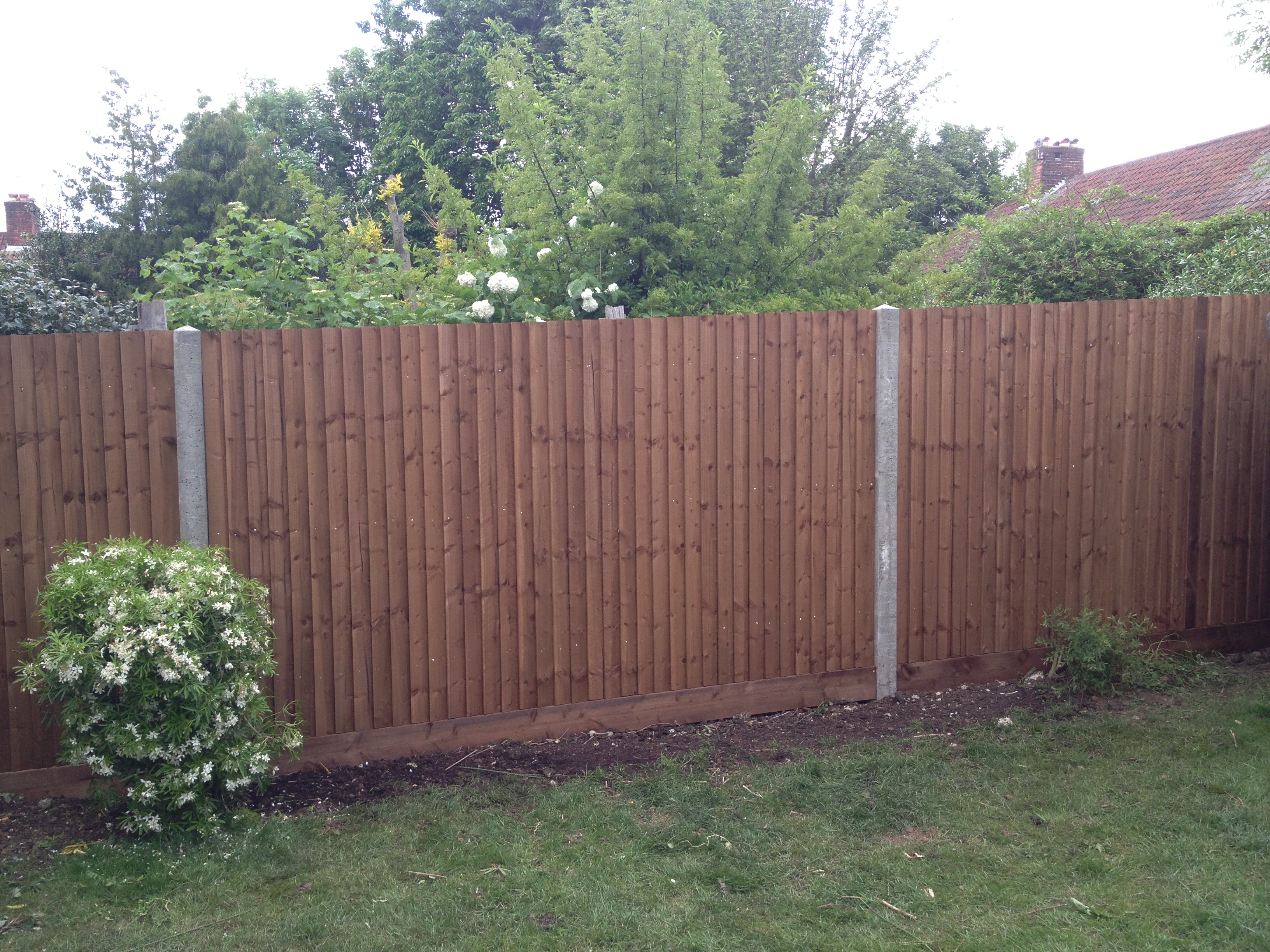 closeboard fence with concrete posts
